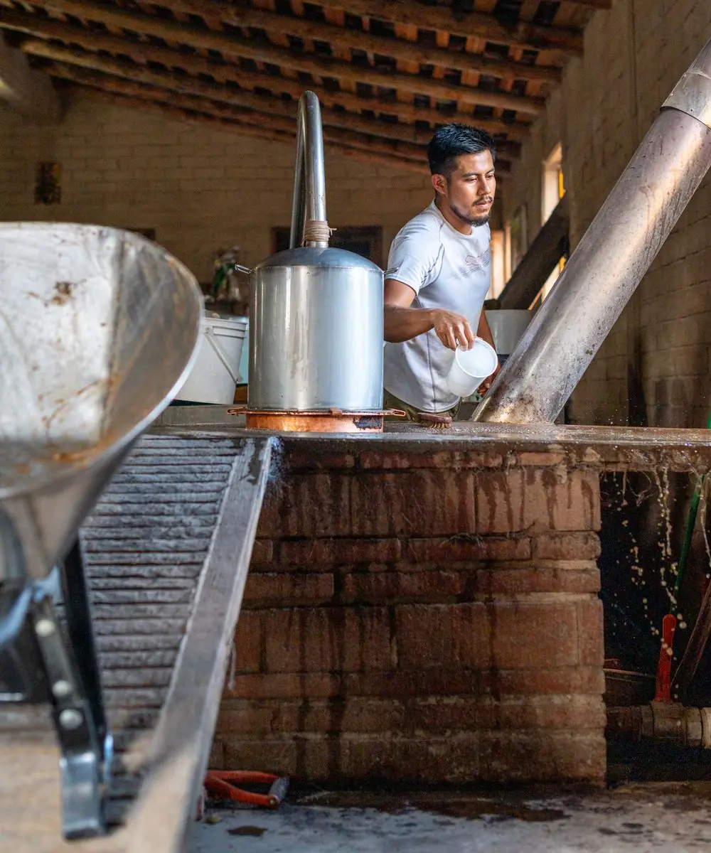 A distiller in an apron checking the spirit flowing from the copper still spout into a glass parrot