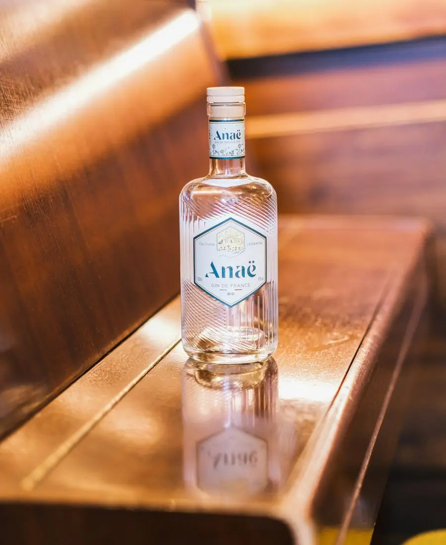 Apothecary-style gin bottle with botanicals visible beside it on a slate surface